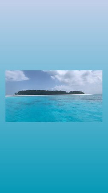 Moha Zanzibar Tours-石头城必去景点