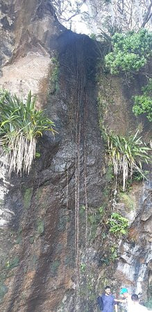 Banana Boat Whitianga-菲蒂昂格必去景点