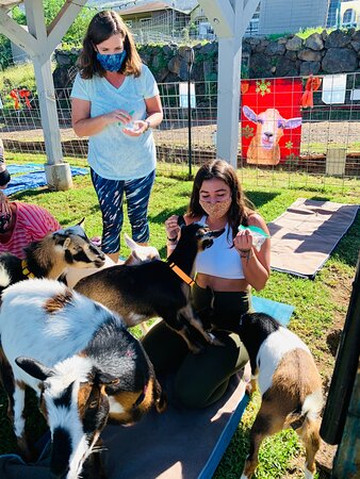 Maui Goat Yoga-库拉必去景点