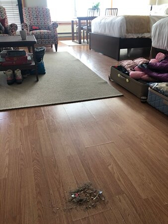 Slopeside Lodge主图