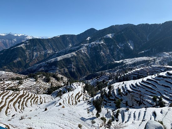 The Shivay Cafe & Stay主图