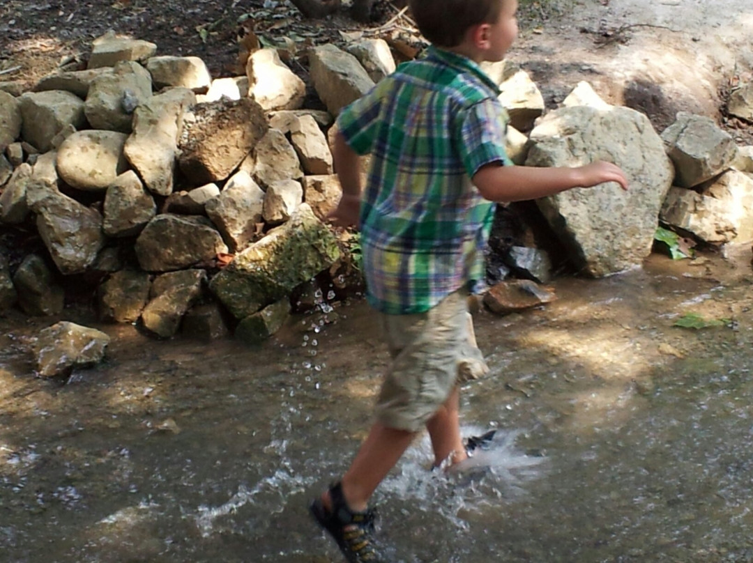 Willow Springs Park-约翰逊城必去景点