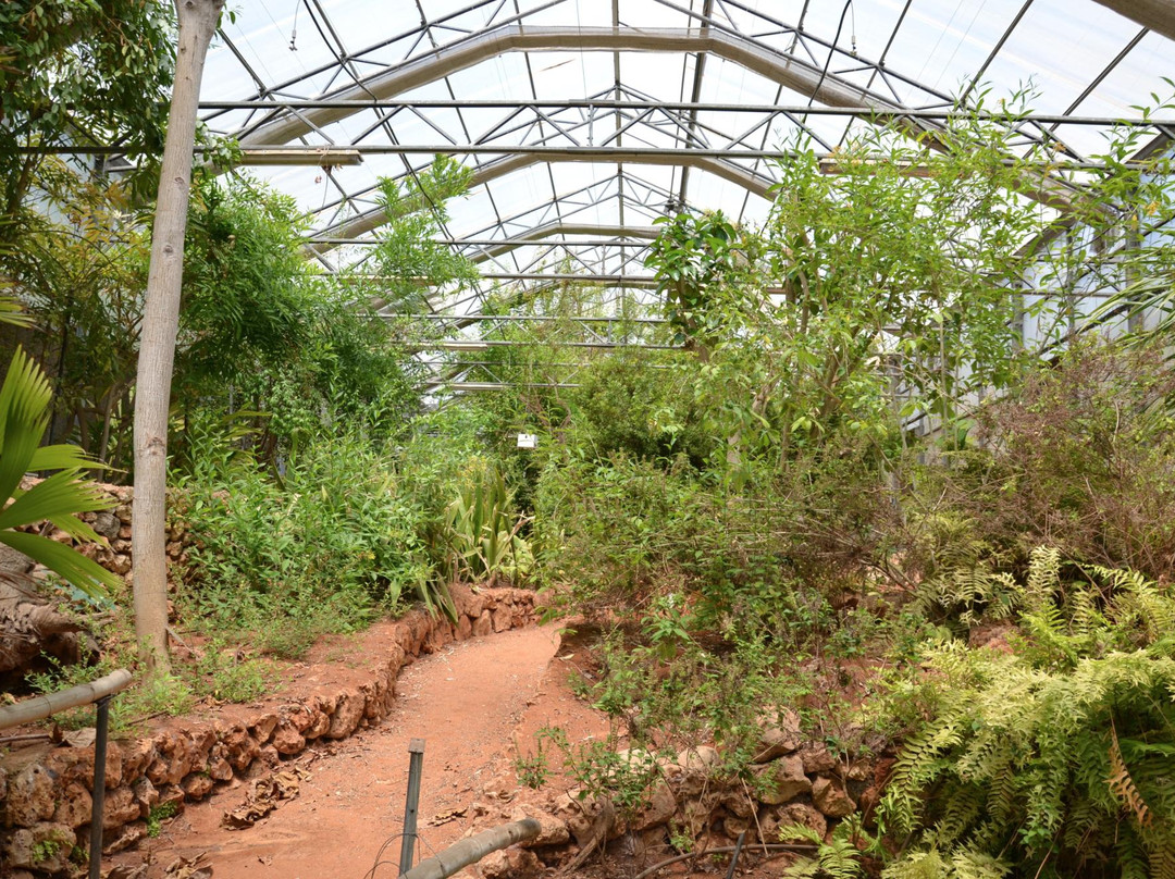 Botanical Garden-特拉维夫必去景点