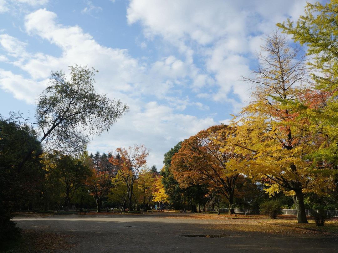 Nishi Park-仙台市必去景点