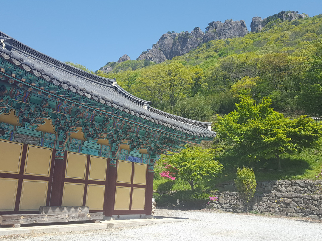 null-井邑市