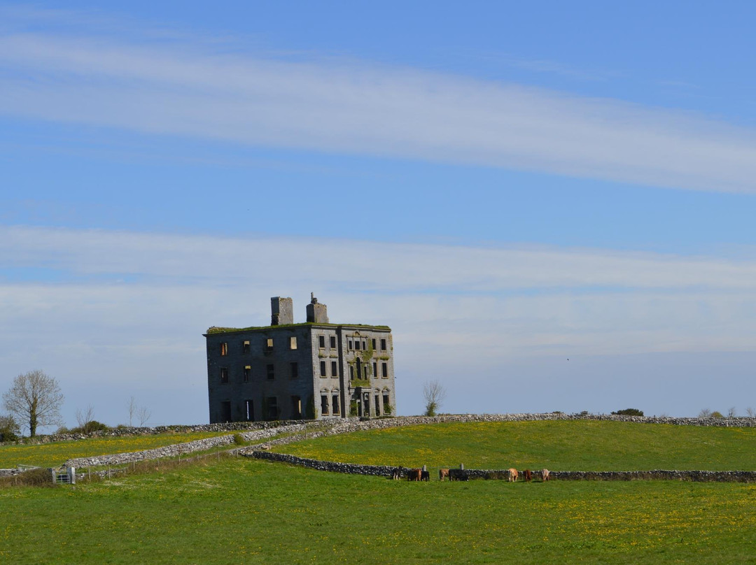 Kilcolgan旅游攻略图片