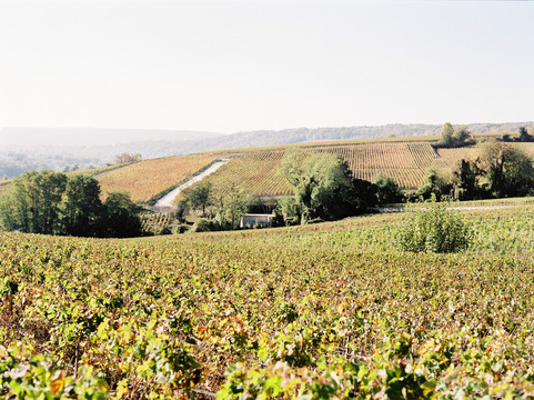 Crouttes旅游攻略图片