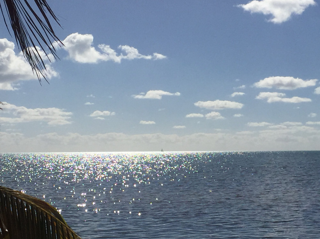 Long Key旅游攻略图片