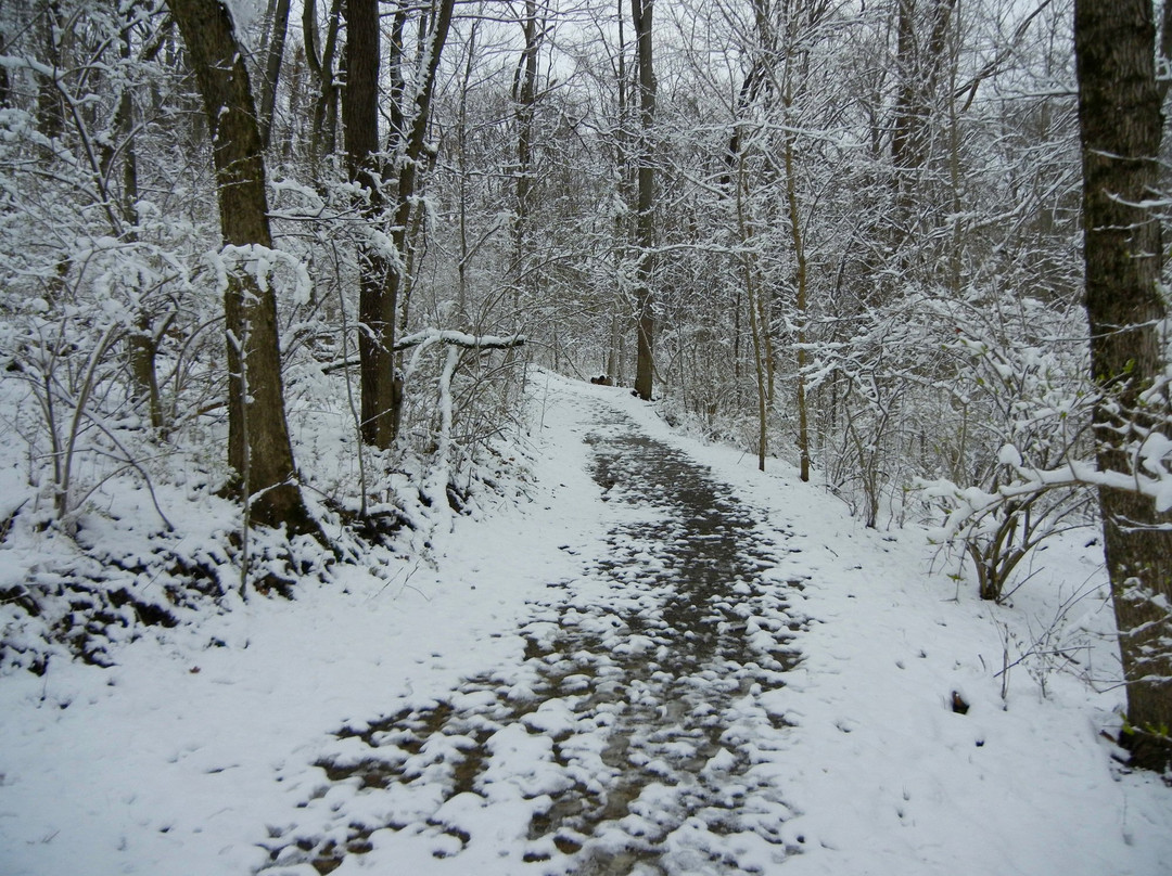 Lincoln Ridge Park景点图片