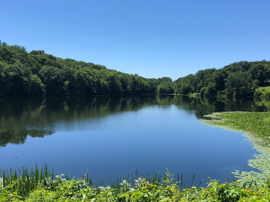 Pleasantville旅游攻略图片