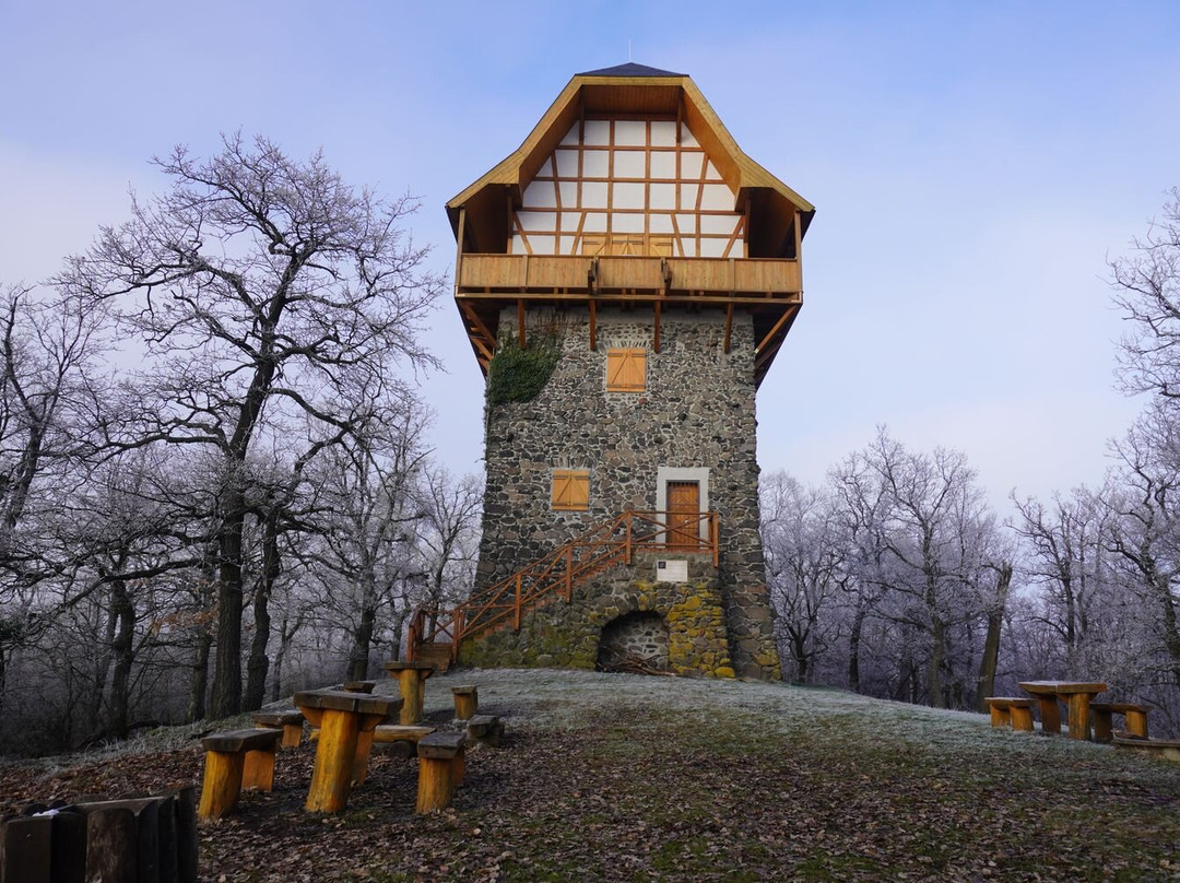 Sasbérc Lokout Tower