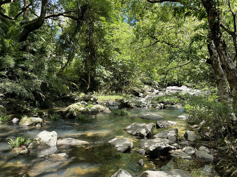 新娘潭自然教育径-香港必去景点