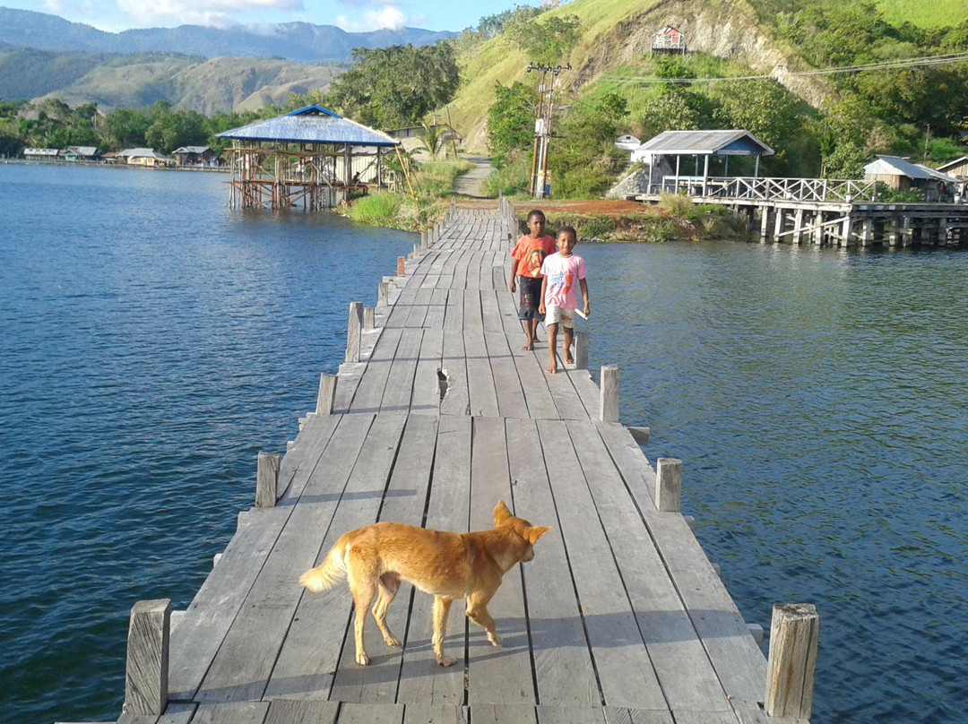 Sentani Lake景点图片