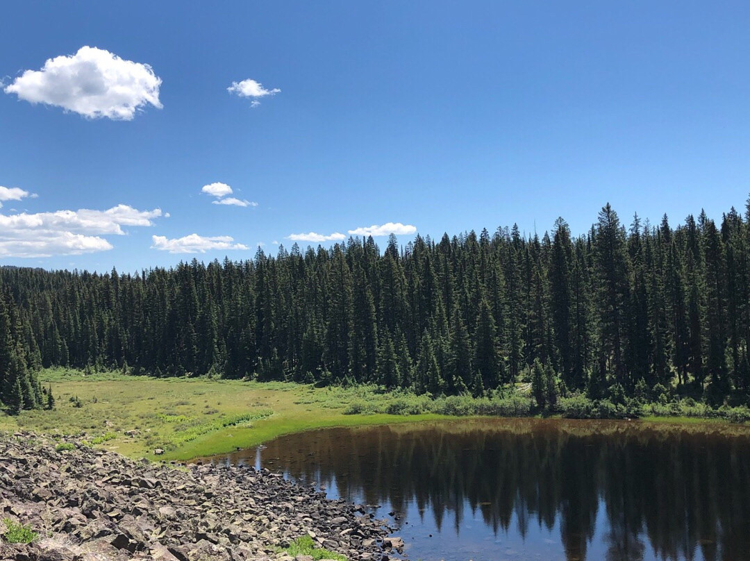 Collbran旅游景点-Grand Mesa National Forest