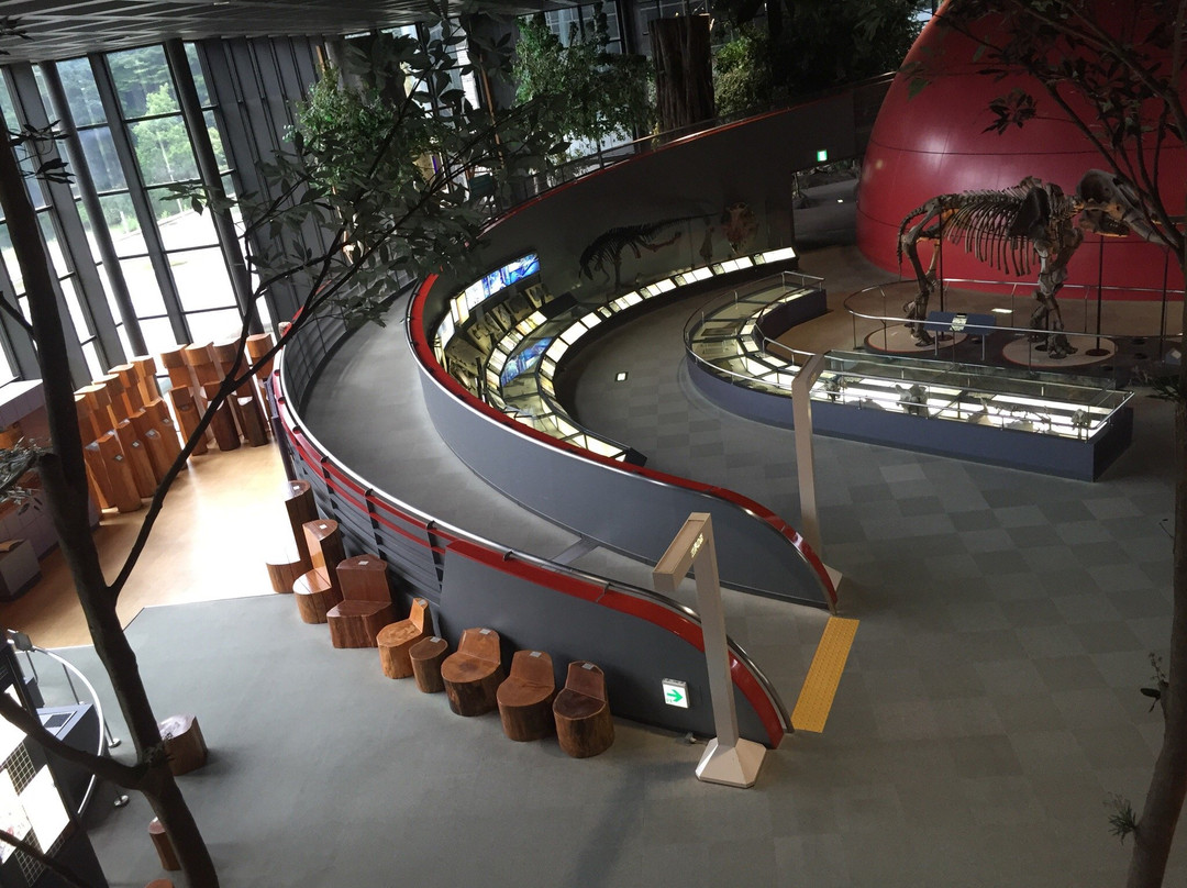 Hyogo Prefectural Operated Human and Nature Museum景点图片