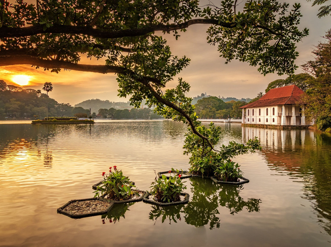 Amusing Lanka Tours景点图片