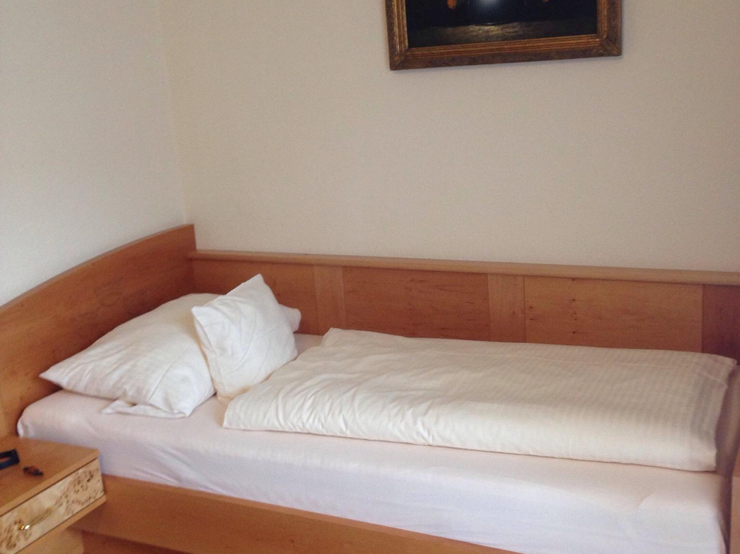 Hotel Zu Den Drei Kronen主图