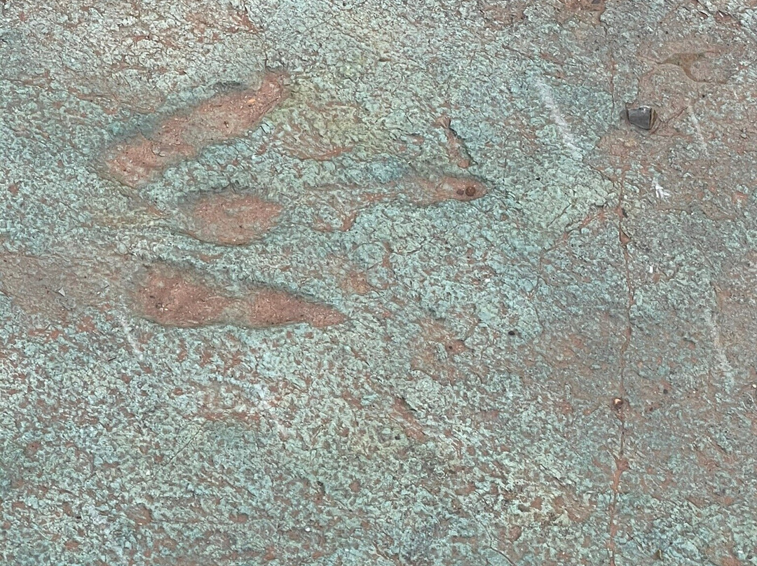 Mill Canyon Dinosaur Trail-莫阿布必去景点