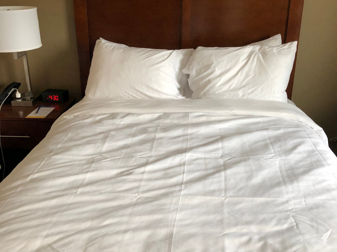 Comfort Inn & Suites主图