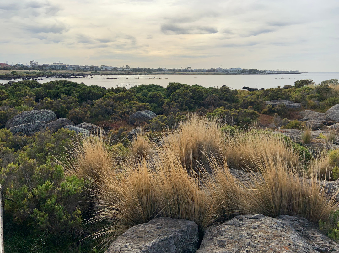Jawbone Flora and Fauna Reserve景点图片