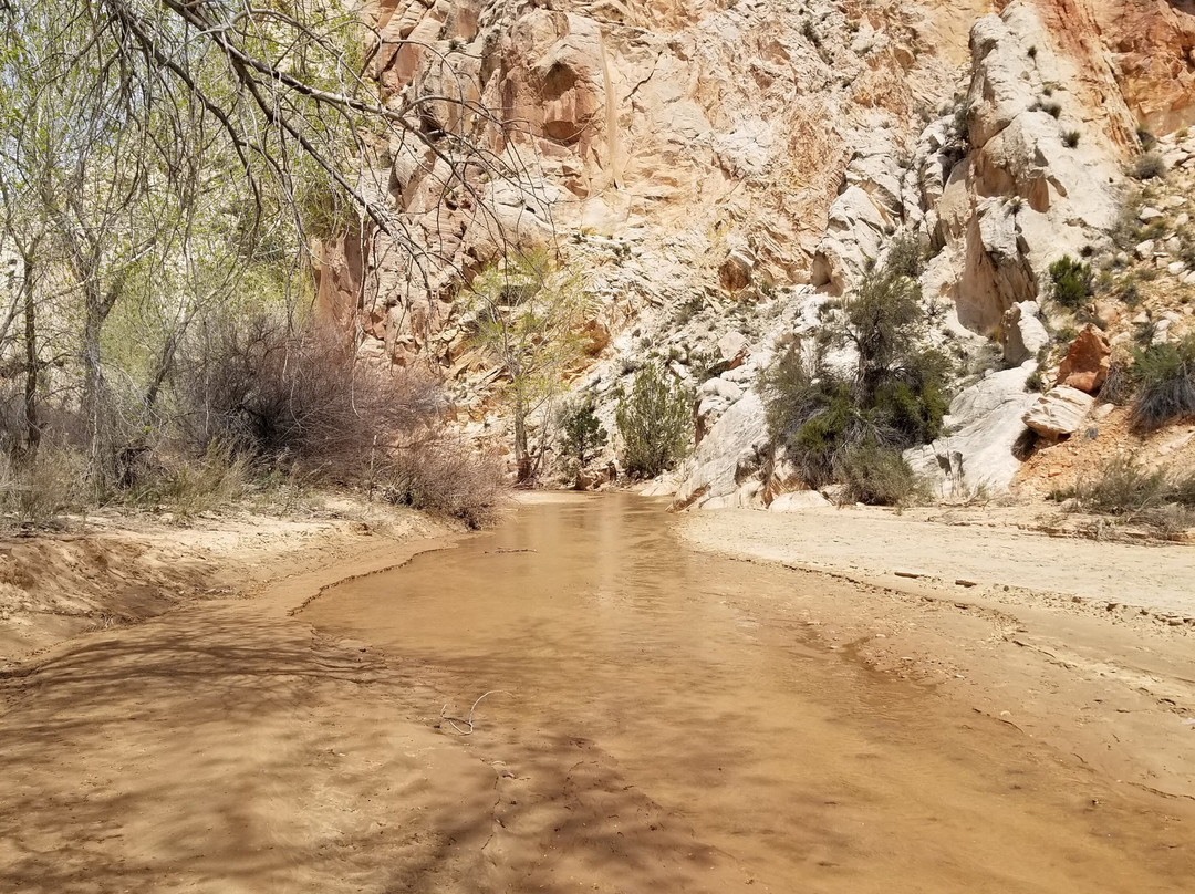 Cottonwood Canyon Road-卡纳布必去景点