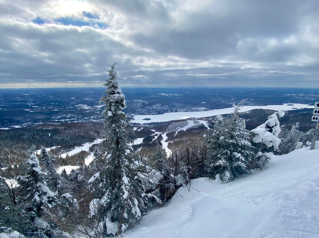 Auberge Sauvignon主图