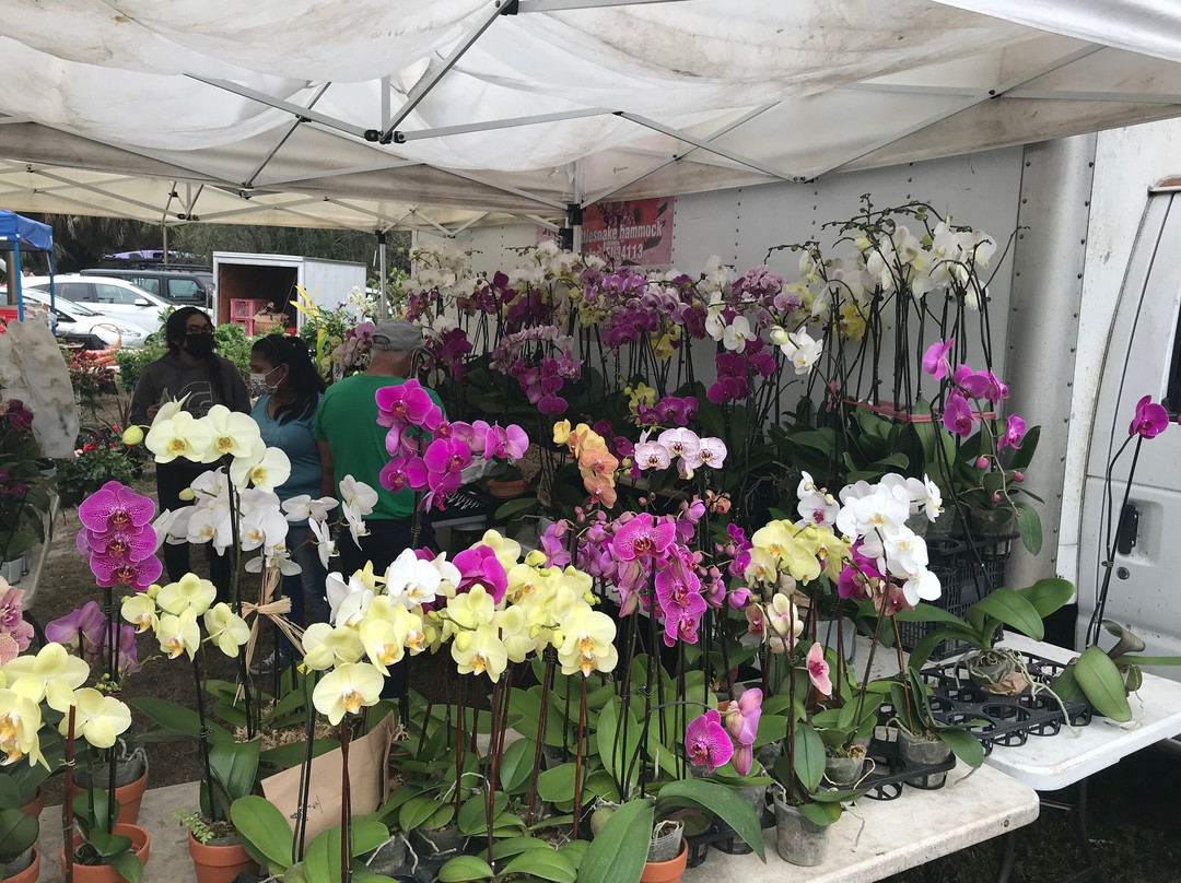 Sanibel Island Farmer's Market景点图片