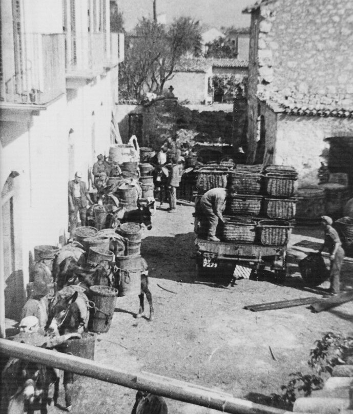 Antica Casa Vitivinicola Italo Pietrantonj景点图片
