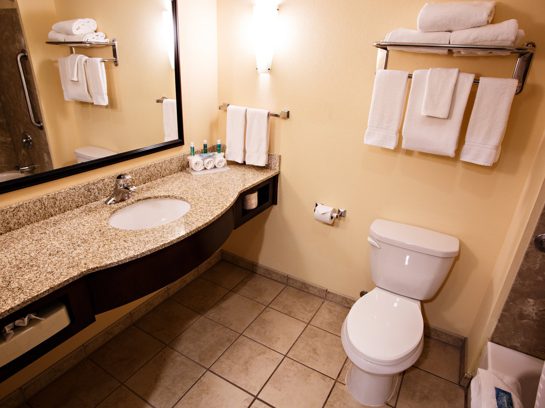 Holiday Inn Express & Suites Harrisburg W - Mechanicsburg By IHG主图