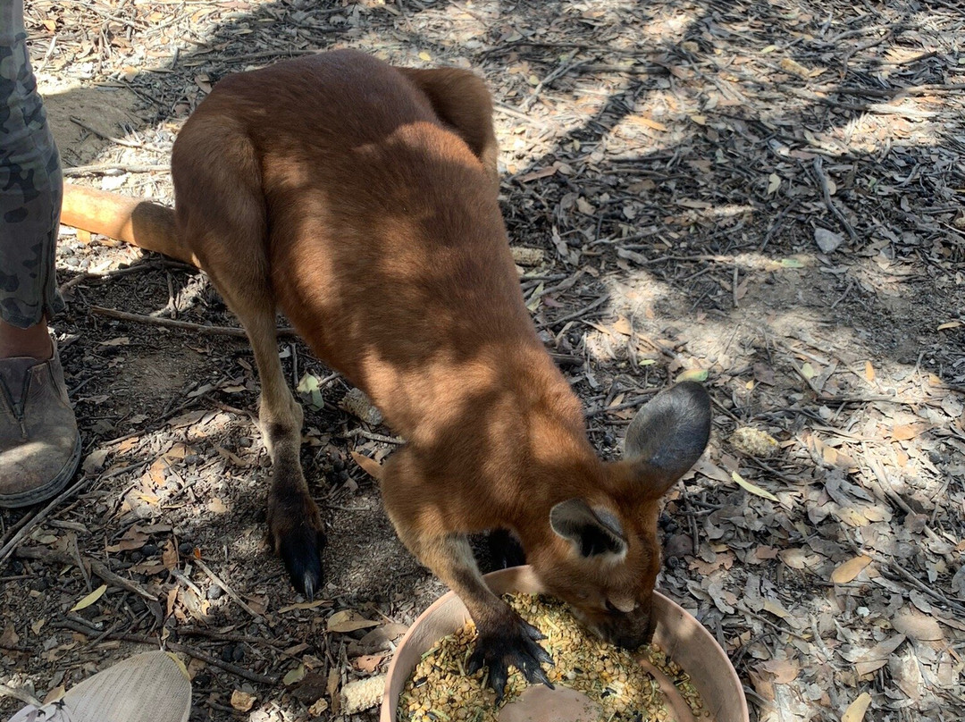 Elbenjo animal sanctuary-Northampton必去景点