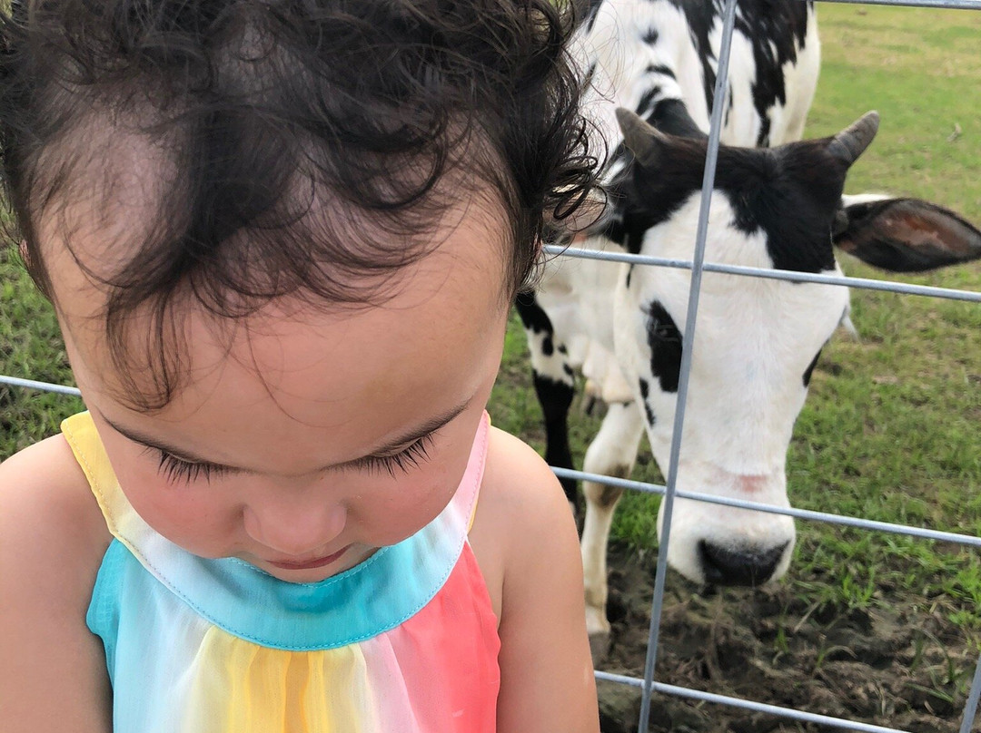 Georgia Peach World-Townsend必去景点
