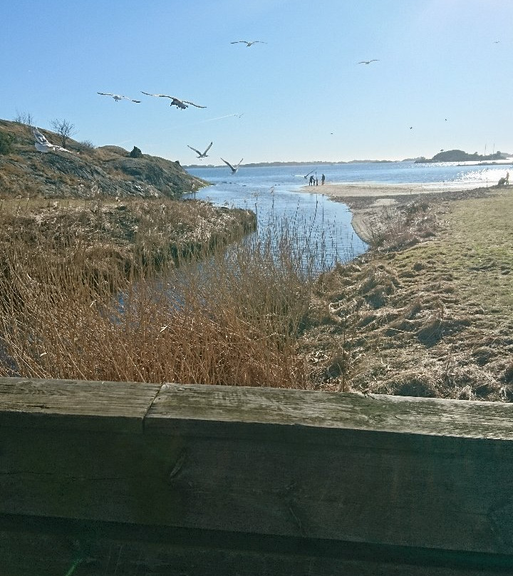 Groos Recreation Ground-Grimstad必去景点