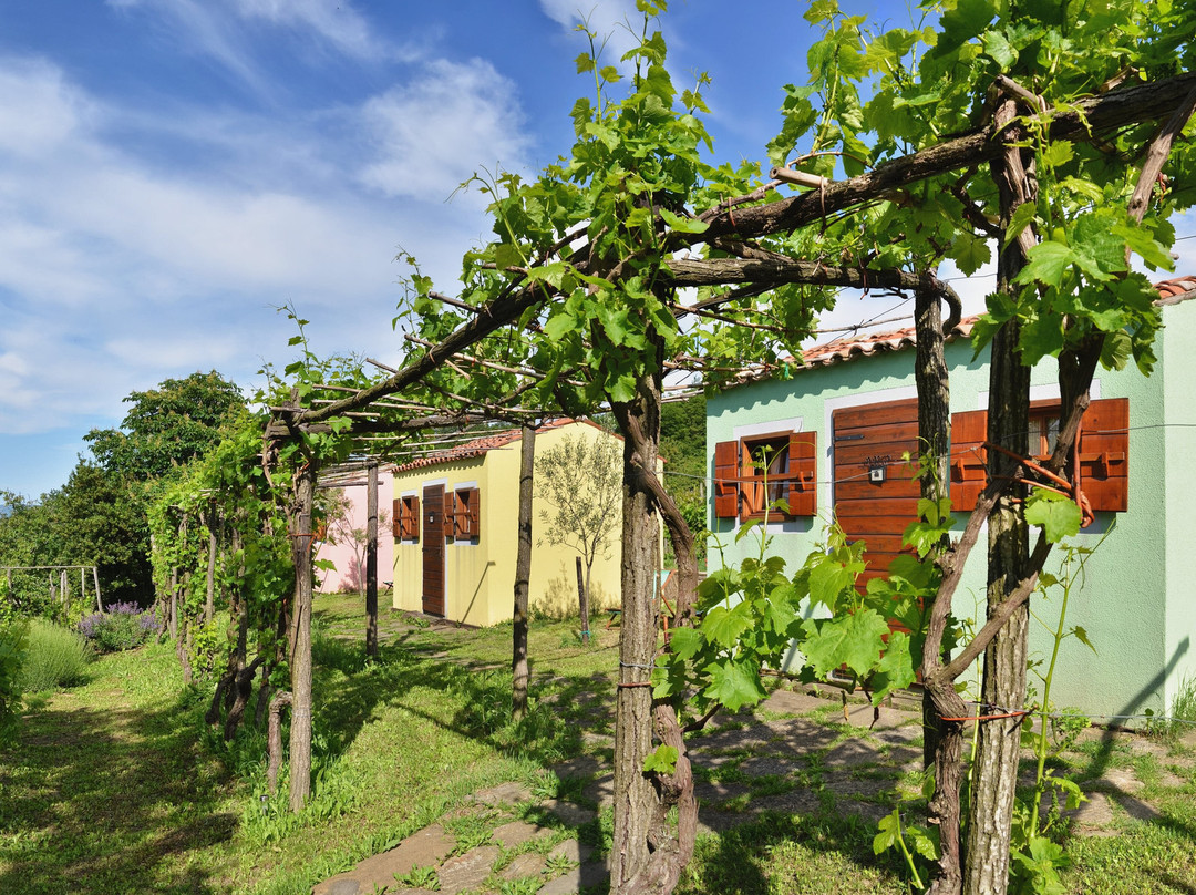 Guesthouse & Glamping Green Istria