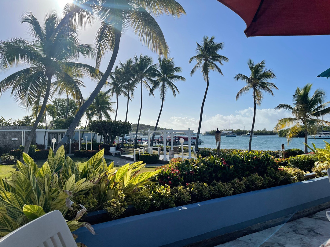 Parador 帕尔古拉别墅酒店主图