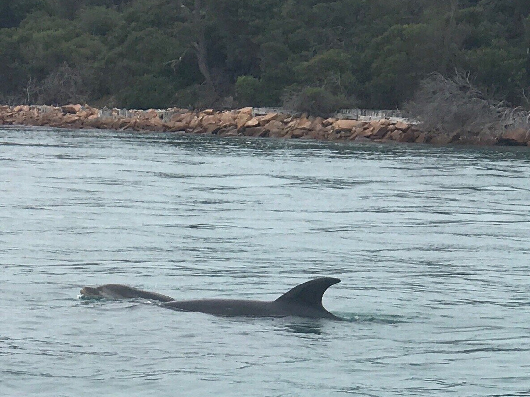 Lakes-Explorer: Wildlife Tours & Water-taxi-莱克斯恩特伦斯必去景点