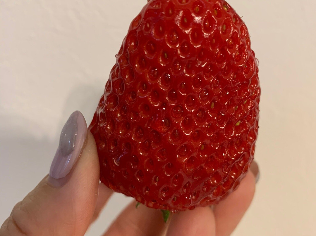 Ichigo-no-Sato-毛吕山町必去景点