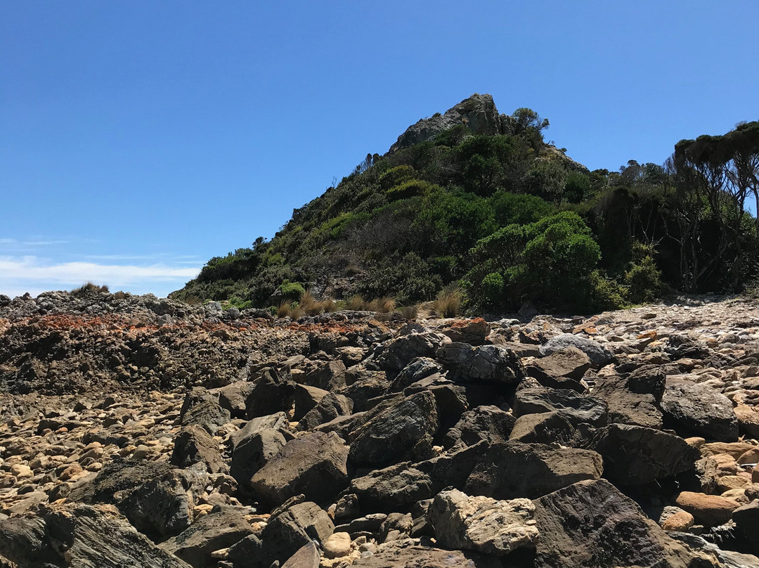 Goat Island-Ulverstone必去景点