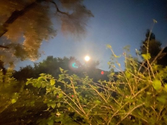 Circle Bar B Guest Ranch主图