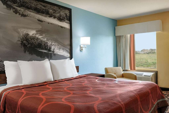 Super 8 by Wyndham Olive Branch主图