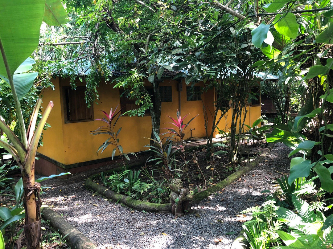 Pachamama Jungle River Lodge主图