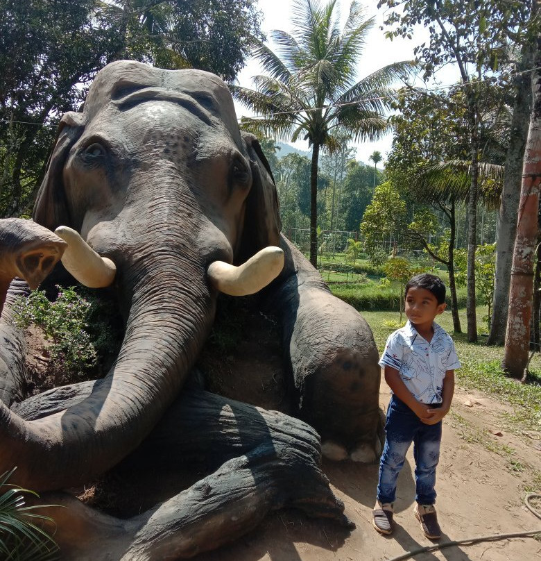 Thekkady Rose Park景点图片