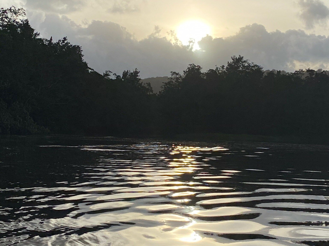 Daintree Boatman Wildlife Cruises-Daintree必去景点