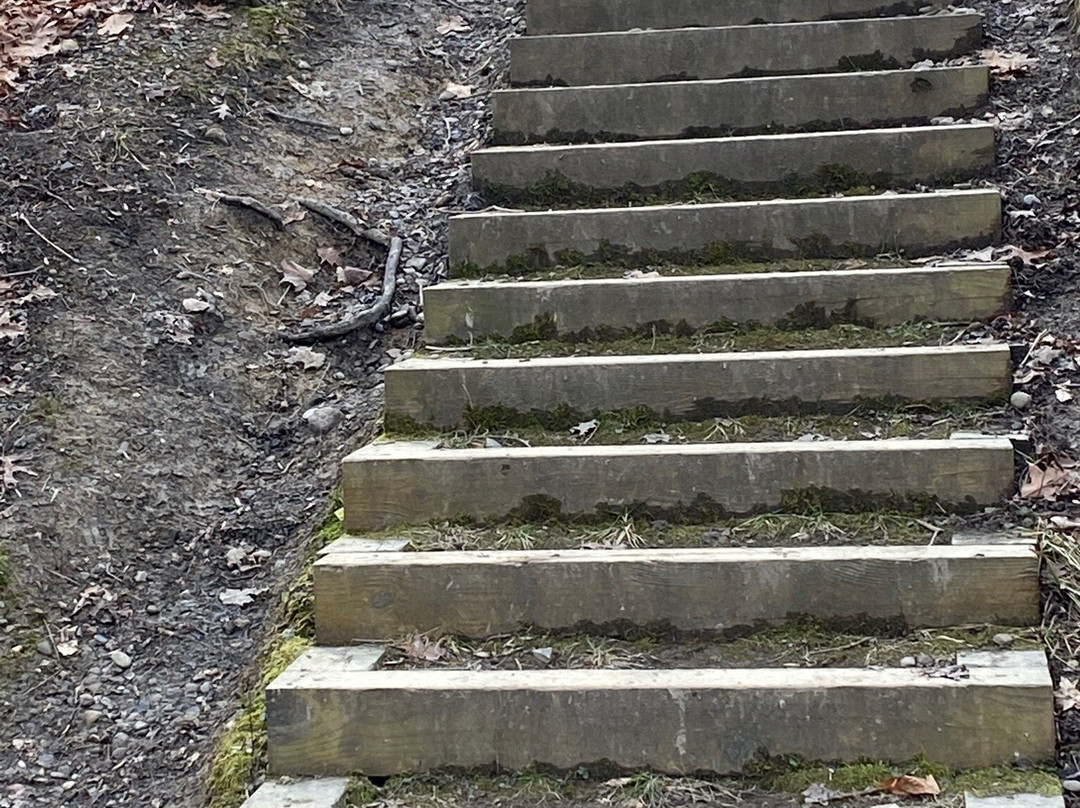 Pine Grove Trail-Peninsula必去景点