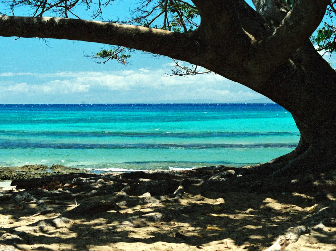 Honokowai Beach Park-拉海纳必去景点