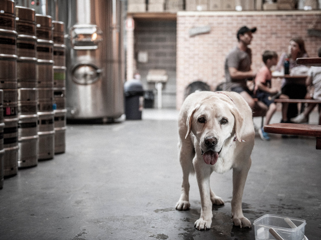 Eden Brewery-Mittagong必去景点