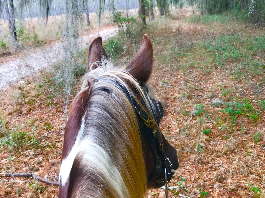 McCulley Farm-Jasper必去景点