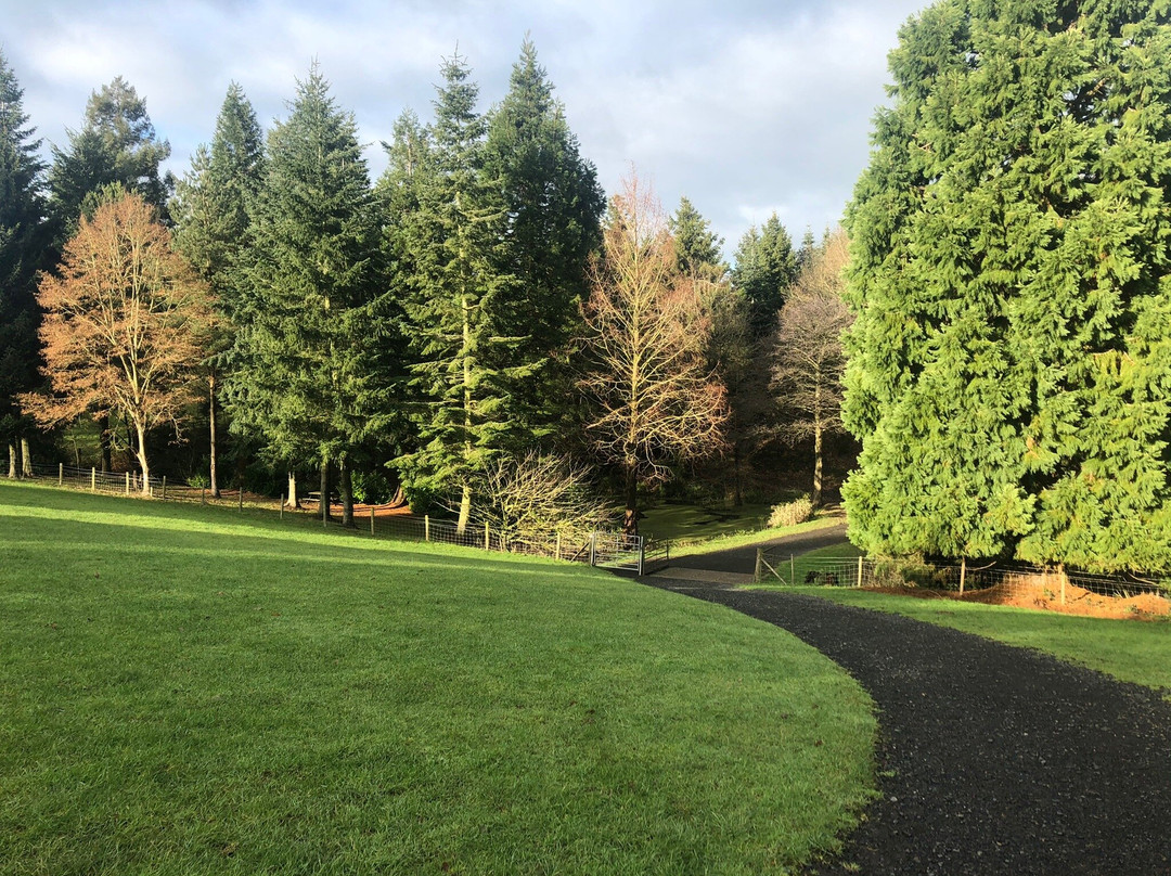 Bodenham Arboretum景点图片