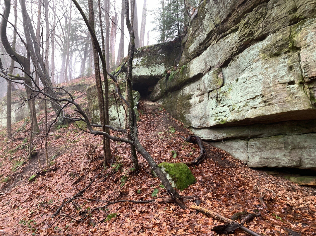 McConnells Mill State Park景点图片
