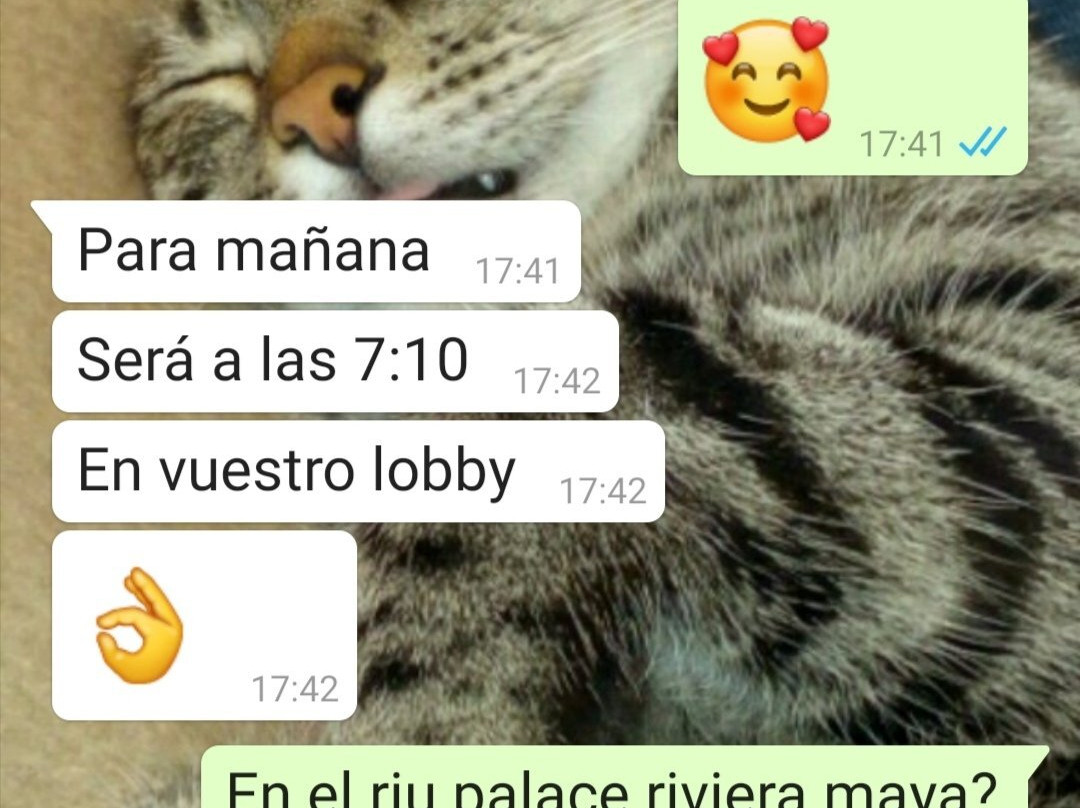 Blue Bus Tours-墨西哥城必去景点