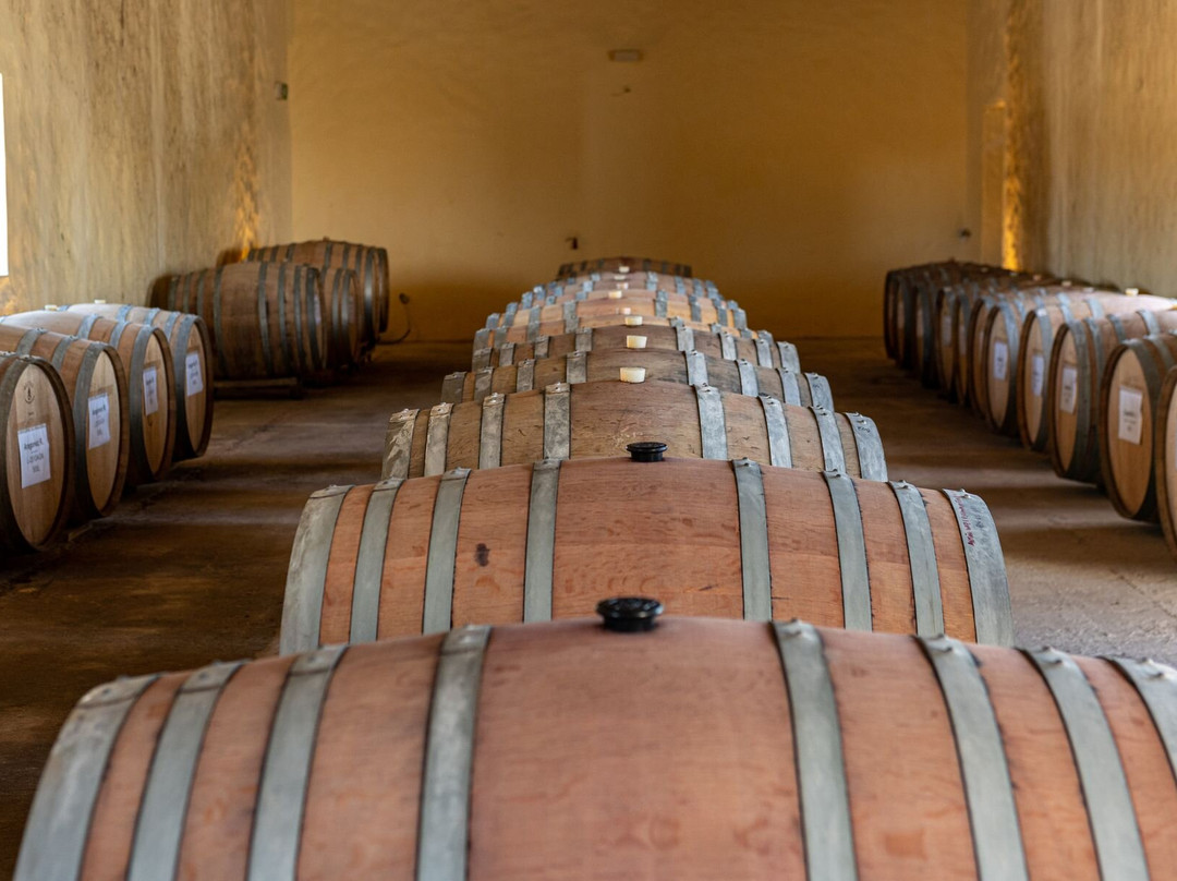 Herdade Da Comporta-Comporta必去景点